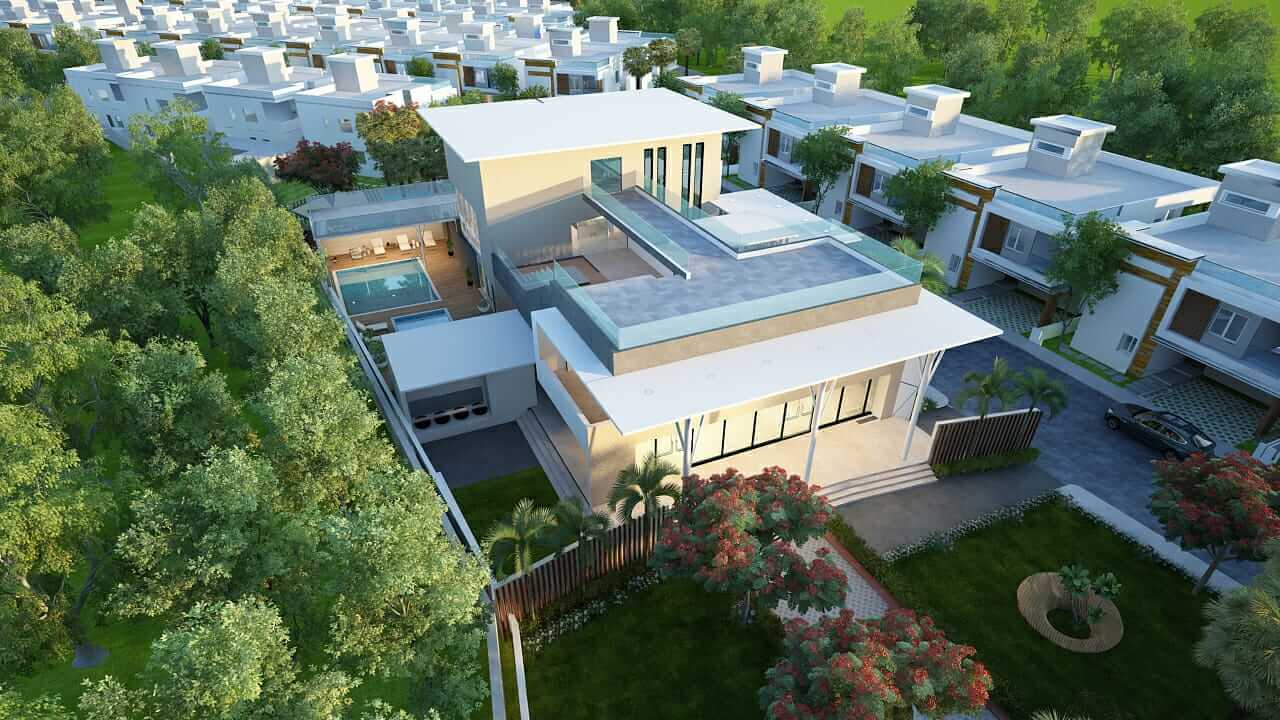 p pic 2